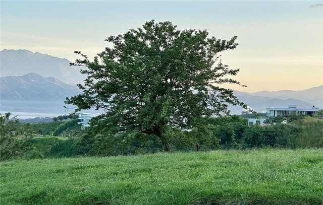 Lote en venta en Cerritos, Pereira, 10046 m² · foto 4 de 4