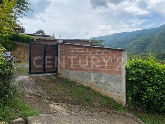 Finca en Venta - Mynd 3