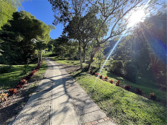 Finca en Venta – pohled 2