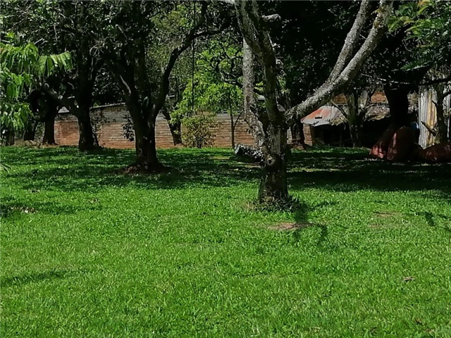 Lote en Arriendo - Más