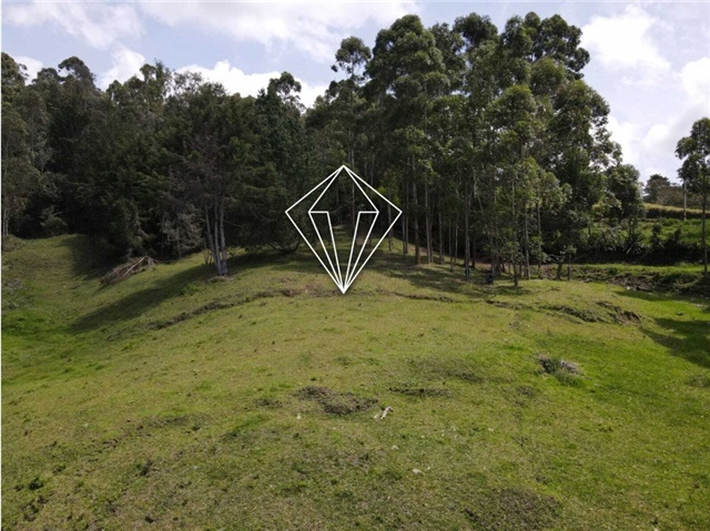Lote en venta en La Ceja, 18000 m² · foto 2 de 24