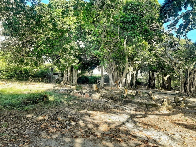 House in Santiago de Tolú, Morrosquillo - View 3