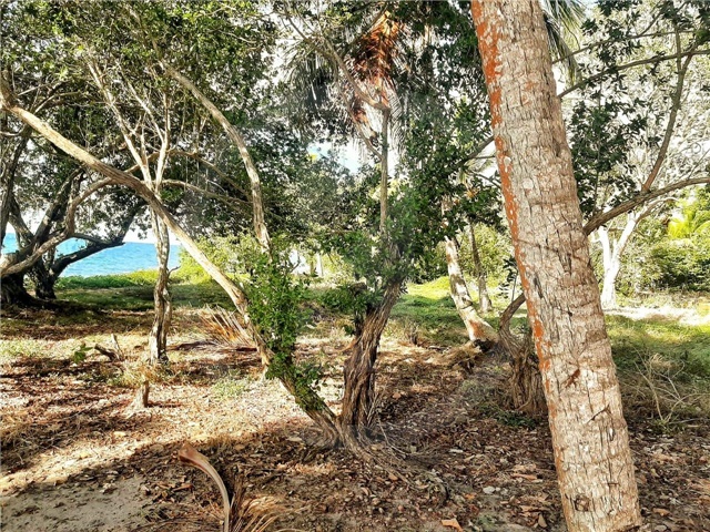 House in Santiago de Tolú, Morrosquillo - View 4