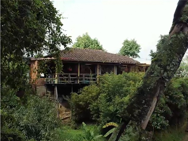 Lote en venta en El Chocho, Envigado, 1875 m² · foto 8 de 24