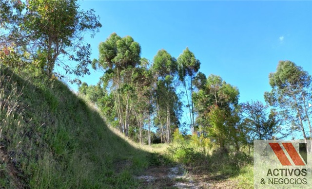 Lote en venta en El Tambo, La Ceja, 3229 m² · foto 2 de 5
