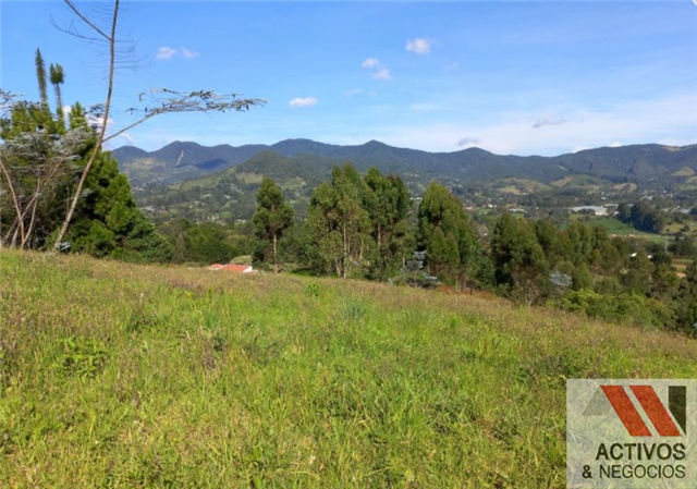 Lote en venta en El Tambo, La Ceja, 3229 m² · foto 3 de 5
