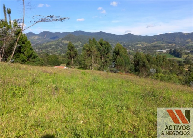 Lote en venta en El Tambo, La Ceja, 3229 m² · foto 4 de 5
