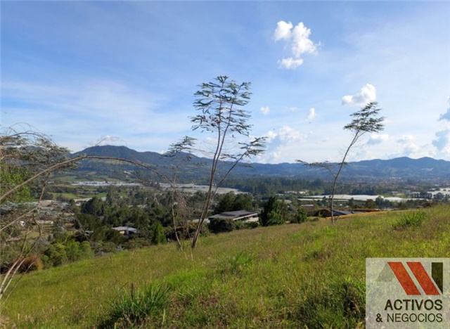 Lote en venta en El Tambo, La Ceja, 3229 m² · foto 5 de 5