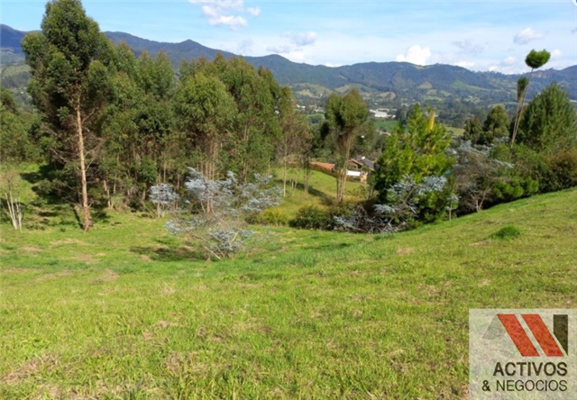 Lote en venta en El Tambo, La Ceja, 3932 m² · foto 2 de 8