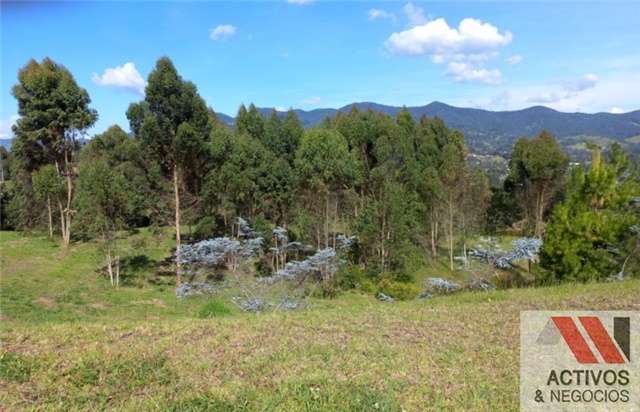 Lote en venta en El Tambo, La Ceja, 3932 m² · foto 3 de 8