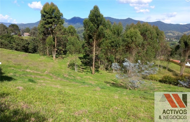 Lote en venta en El Tambo, La Ceja, 3932 m² · foto 4 de 8