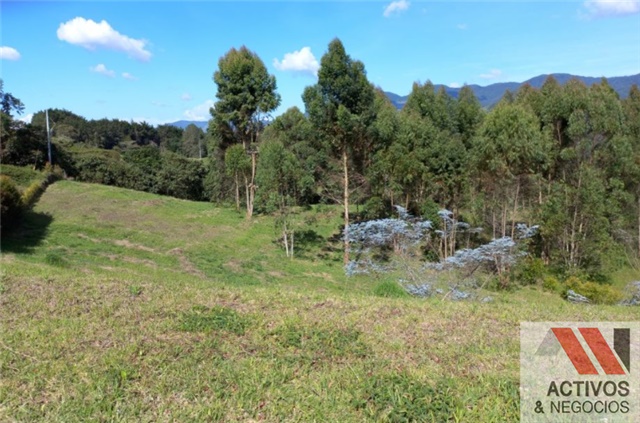 Lote en venta en El Tambo, La Ceja, 3932 m² · foto 5 de 8