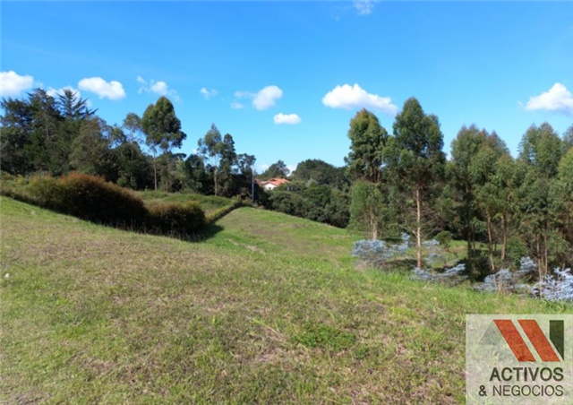 Lote en venta en El Tambo, La Ceja, 3932 m² · foto 6 de 8