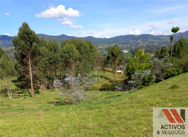 Lote en venta en El Tambo, La Ceja, 3932 m² · foto 7 de 8