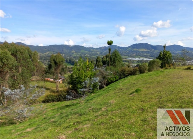 Lote en venta en El Tambo, La Ceja, 3932 m² · foto 8 de 8