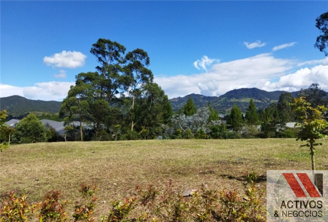 Lote en venta en El Tambo, La Ceja, 2518 m² · foto 5 de 8