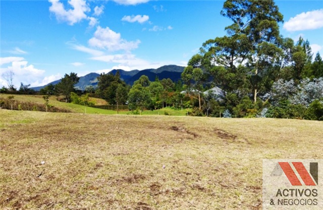 Lote en venta en El Tambo, La Ceja, 2518 m² · foto 6 de 8