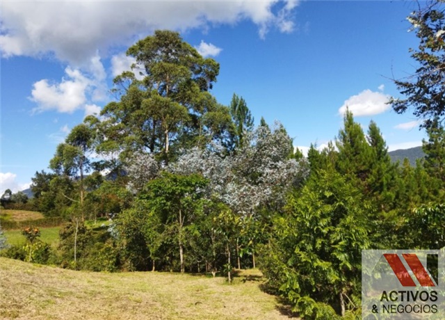 Lote en venta en El Tambo, La Ceja, 2518 m² · foto 7 de 8