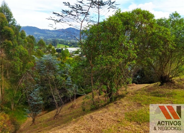 Lote en venta en El Tambo, La Ceja, 4160 m² · foto 3 de 7