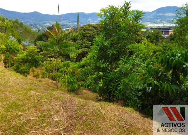 Lote en venta en El Tambo, La Ceja, 4160 m² · foto 4 de 7