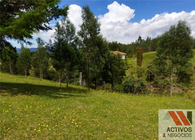 Lote en venta en El Tambo, La Ceja, 2875 m² · foto 4 de 6