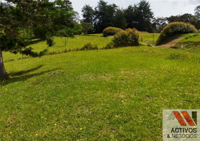 Lote en venta en El Tambo, La Ceja, 2875 m² · foto 6 de 6