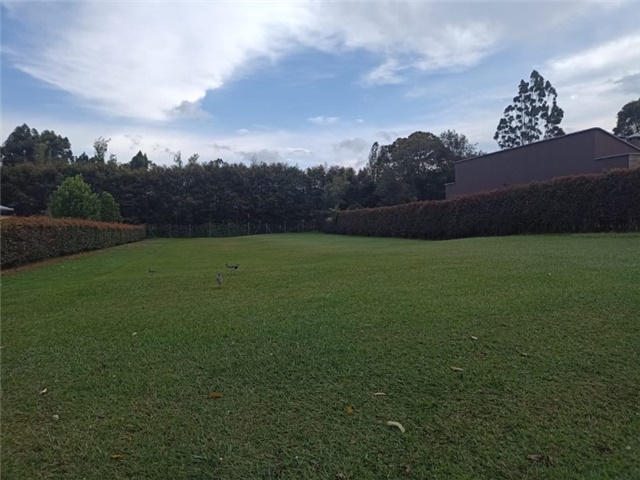 Lote en Venta - Mynd 2