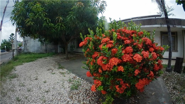 Casa en venta en Centro, Montería · foto 3 de 12