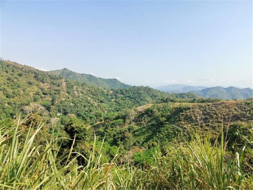 Finca en Venta