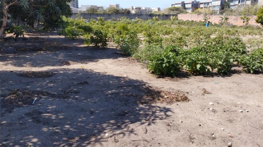 Lote en venta en Villa Campestre, Barranquilla, 4901 m² · foto 11 de 11