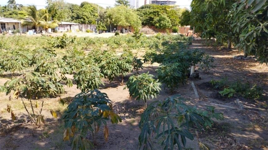 Lote en venta en Villa Campestre, Barranquilla, 4901 m² · foto 8 de 11