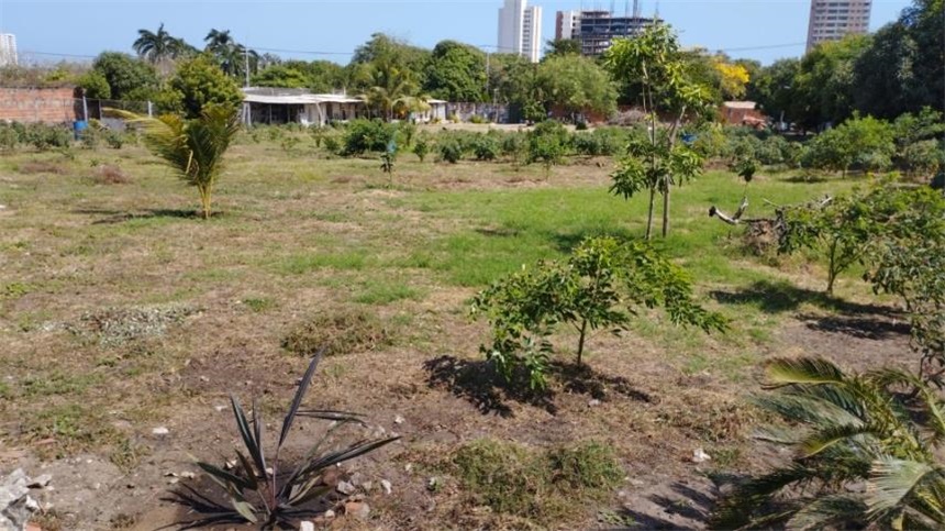 Lote en venta en Villa Campestre, Barranquilla, 4901 m² · foto 10 de 11