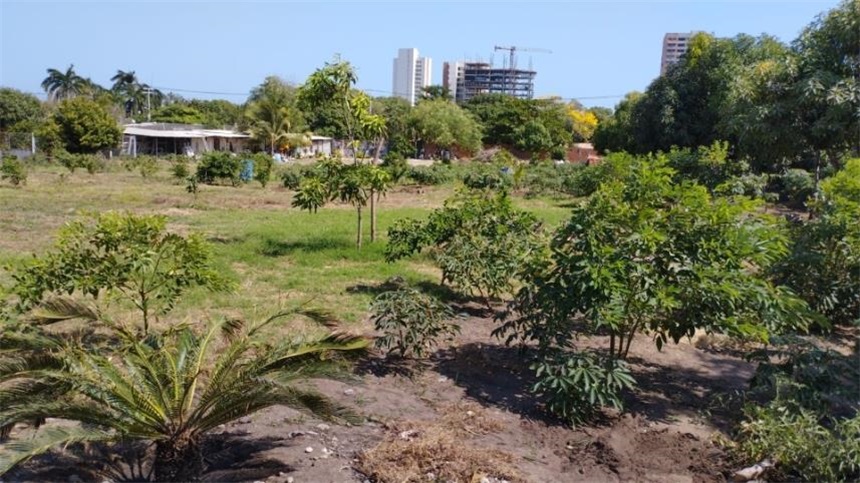 Lote en venta en Villa Campestre, Barranquilla, 4901 m² · foto 9 de 11