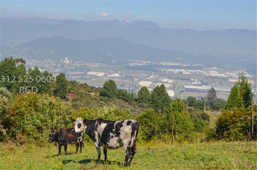 Lote en venta en Canavita, Tocancipá, 48680 m² · foto 13 de 20