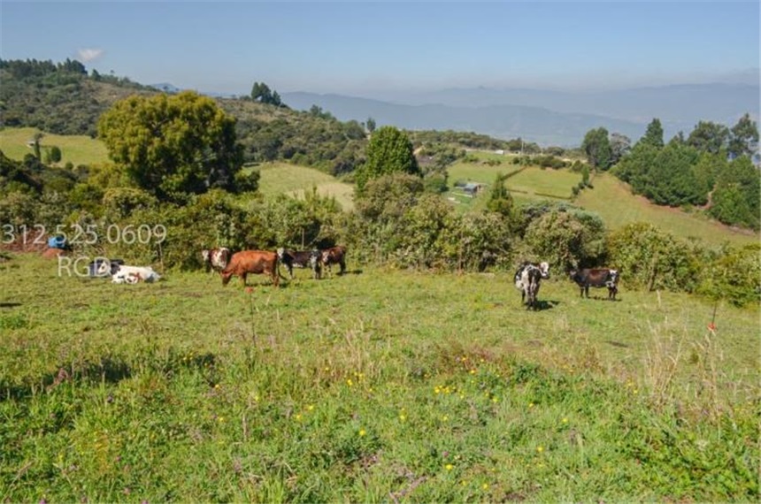 Lote en venta en Canavita, Tocancipá, 48680 m² · foto 10 de 20