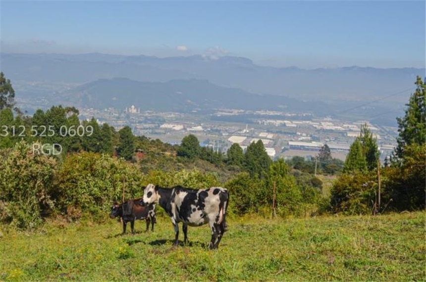 Lote en venta en Canavita, Tocancipá, 48680 m² · foto 14 de 20