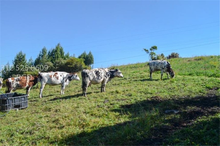 Lote en venta en Canavita, Tocancipá, 48680 m² · foto 18 de 20
