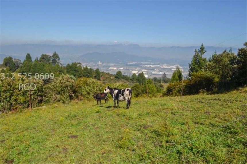 Lote en venta en Canavita, Tocancipá, 48680 m² · foto 12 de 20