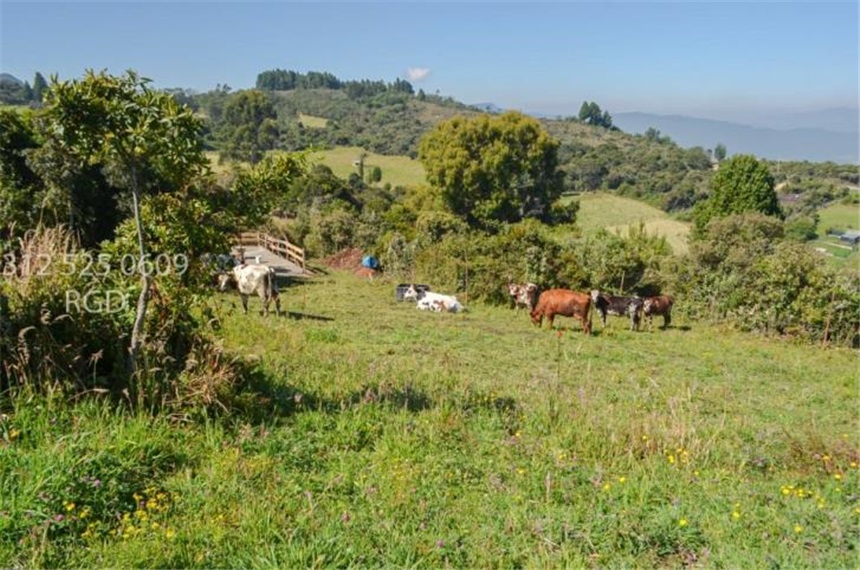 Lote en venta en Canavita, Tocancipá, 48680 m² · foto 9 de 20