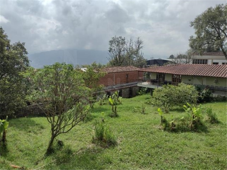 Local en Arriendo - Vista 3