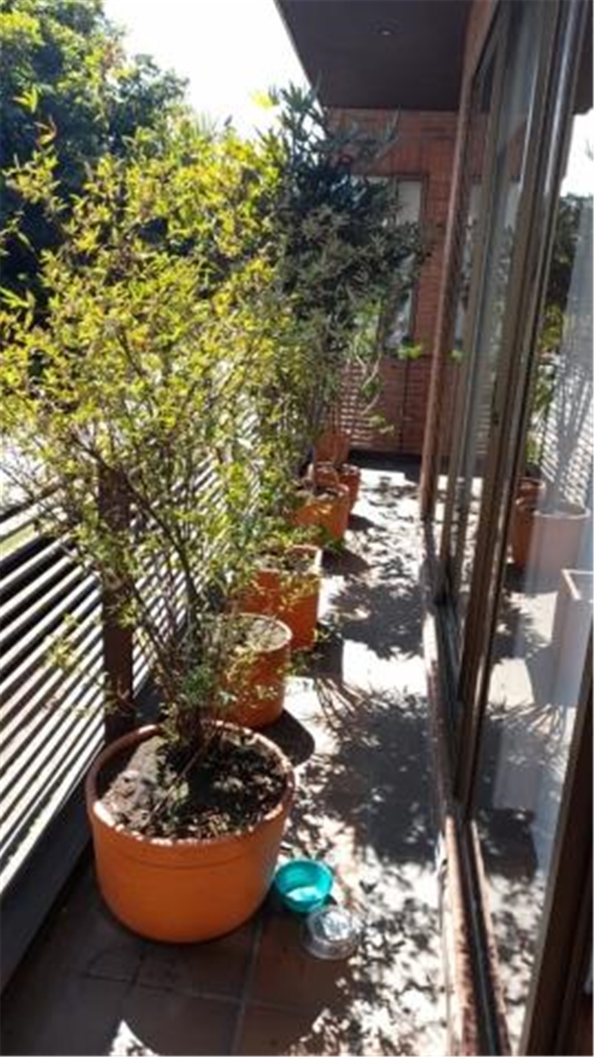 Piso – Bogotá, Santa Bárbara, Localidad Usaquén - Vista 4