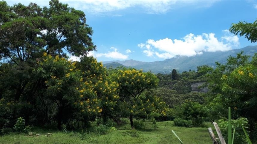 Lote en venta en Actividad Multiple, Copacabana, 8300 m² · foto 2 de 5