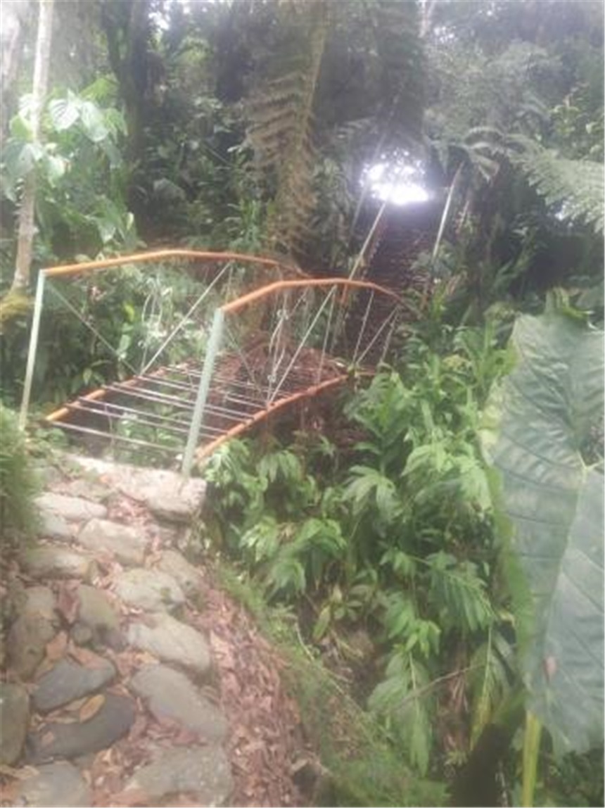 Finca en Venta