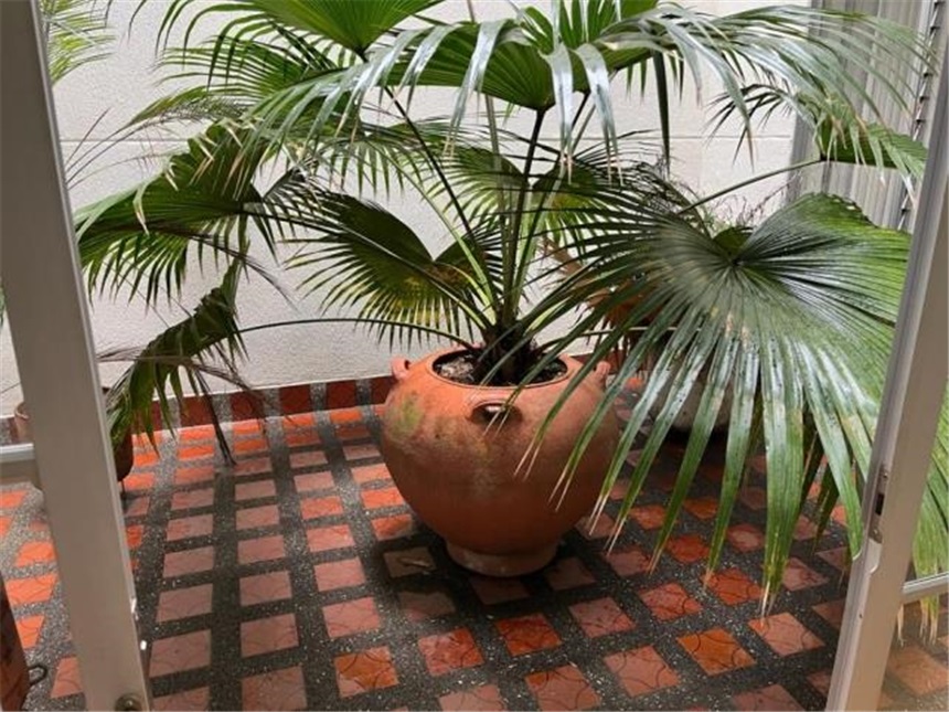 Local en arriendo en El Dorado, Envigado, 260 m² · foto 14 de 17