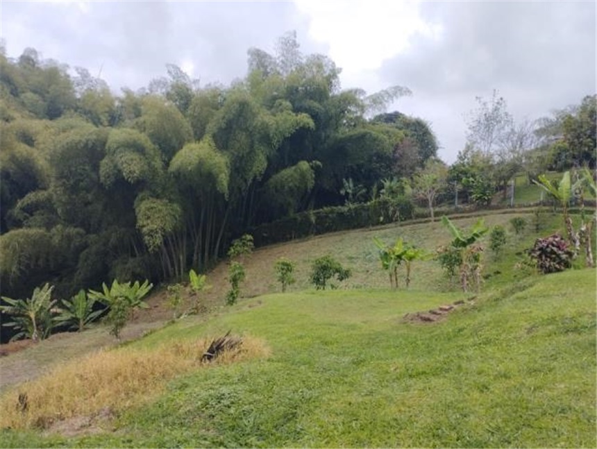 Casa en venta en Guaduales De Canaan, Pereira · foto 10 de 14