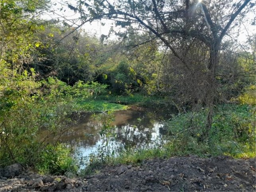Finca en Venta – pohled 6