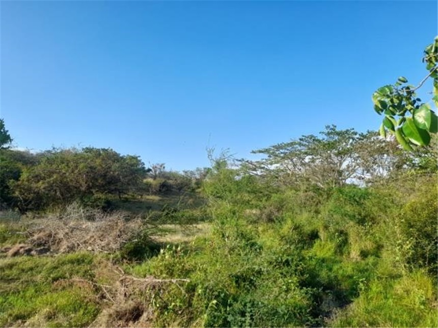 Finca en Venta – pohled 5