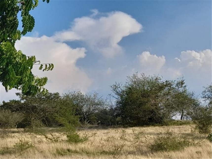 Finca en Venta – další