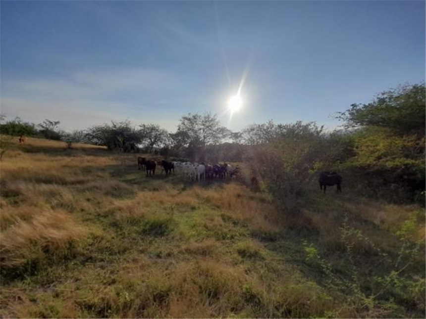 Finca en Venta – pohled 4