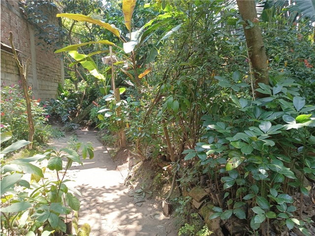 Casa de 5 alcobas en venta en Primavera, Envigado, 220 m² · foto 19 de 24